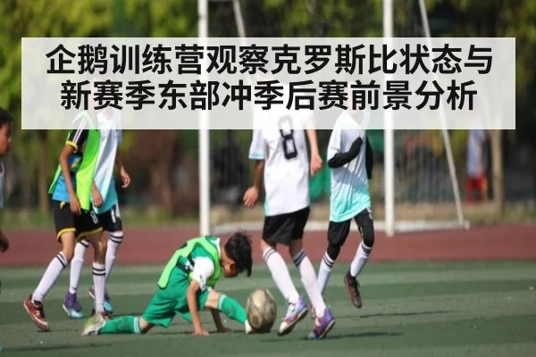 企鹅训练营观察克罗斯比状态与新赛季东部冲季后赛前景分析