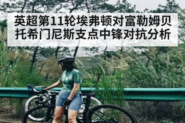 英超第11轮埃弗顿对富勒姆贝托希门尼斯支点中锋对抗分析
